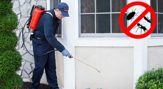 Evka 4 Kene İlaçlama böcek ilaçlama ve haşere kontrolü — ilaclama-tr.com